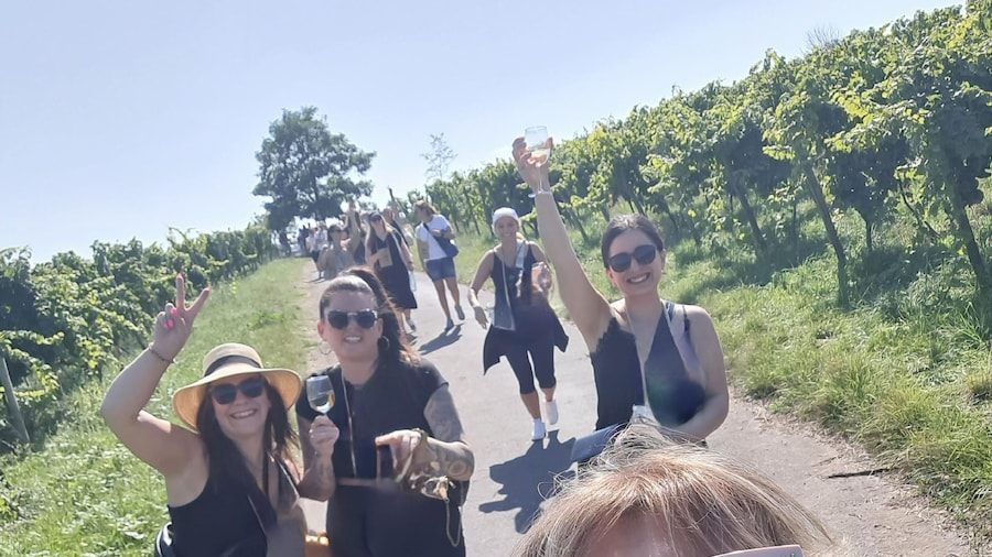 Rüdesheim am Rhein: wine hike and sights