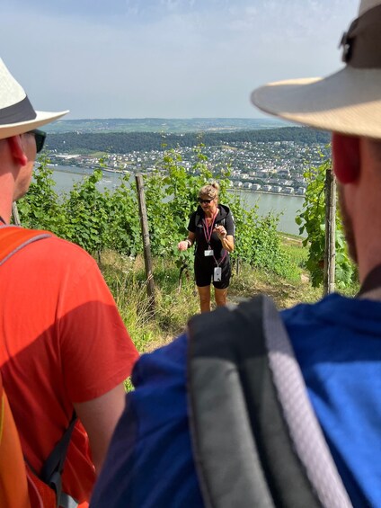 Picture 9 for Activity Rüdesheim am Rhein: wine hike and sights