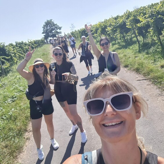 Rüdesheim am Rhein: wine hike and sights
