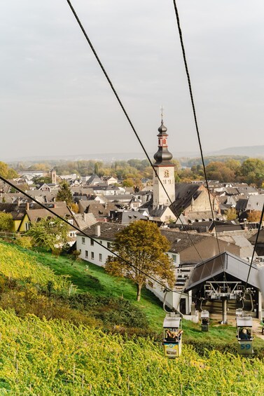 Picture 3 for Activity Rüdesheim am Rhein: wine hike and sights