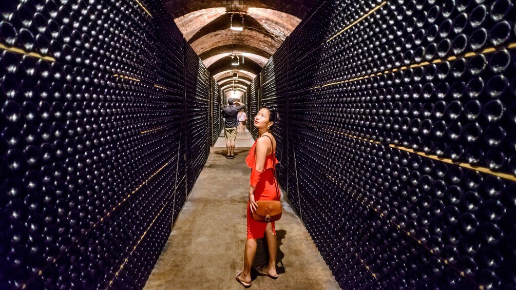 Tour group in a hallway filled with wine bottles in Barcelona