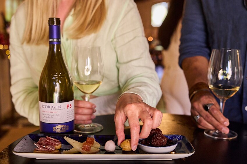 Penedés Vineyards Tour by 4WD with Wine & Cava Tastings from Barcelona