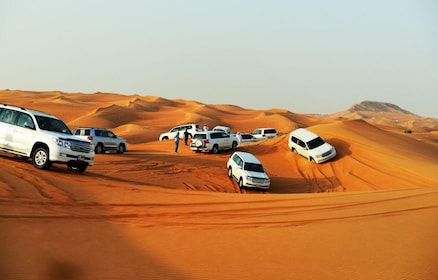 Doha: safari nel deserto, giro in cammello, Dune Bashing e mare interno