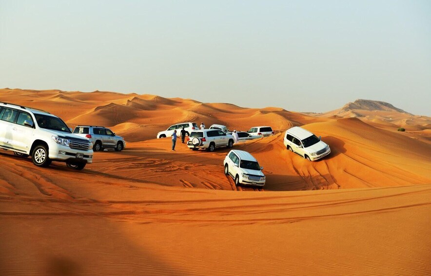 Doha: Private Desert Safari with Camel Ride, Dune Bashing