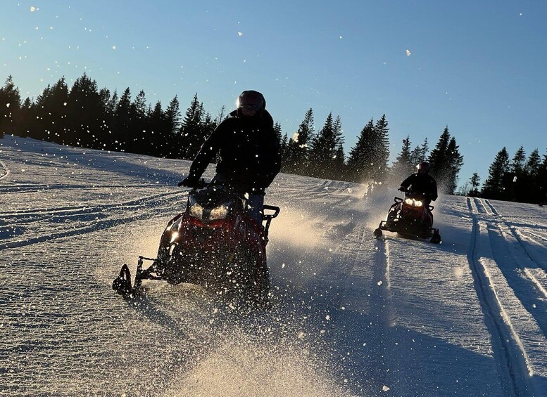 Picture 7 for Activity From Krakow: Snowmobile Adventure with Thermal Pools Visit