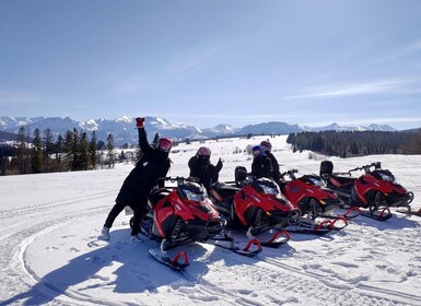 From Krakow: Snowmobile Adventure with Thermal Pools Visit