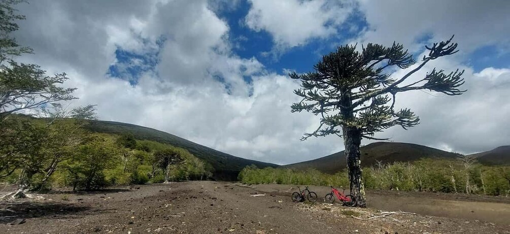 Picture 3 for Activity Pucon: Discover active volcano routes with MTB tour in ebike