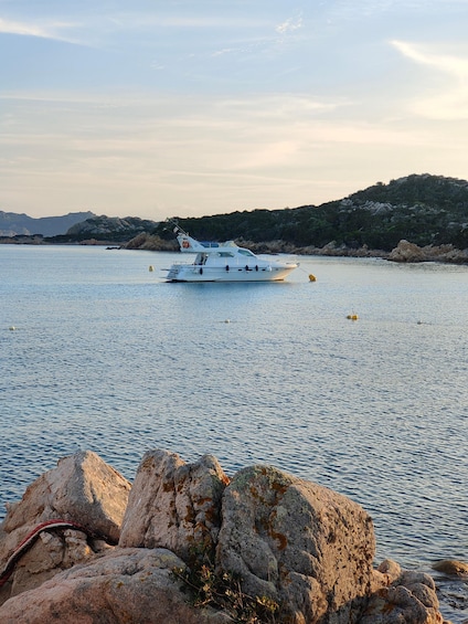 Picture 29 for Activity Exclusive Boat Tours La Maddalena