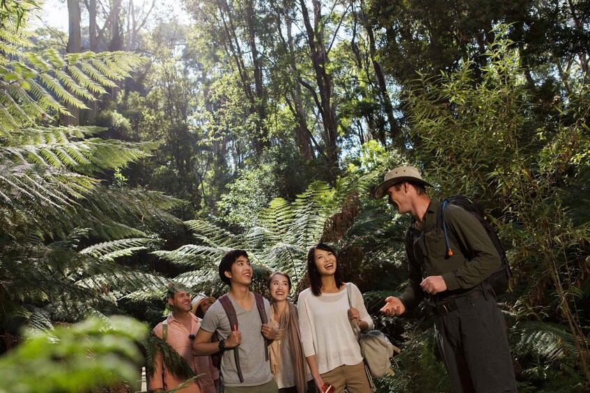 Picture 1 for Activity Melbourne: Great Ocean Road Sightseeing Day Tour