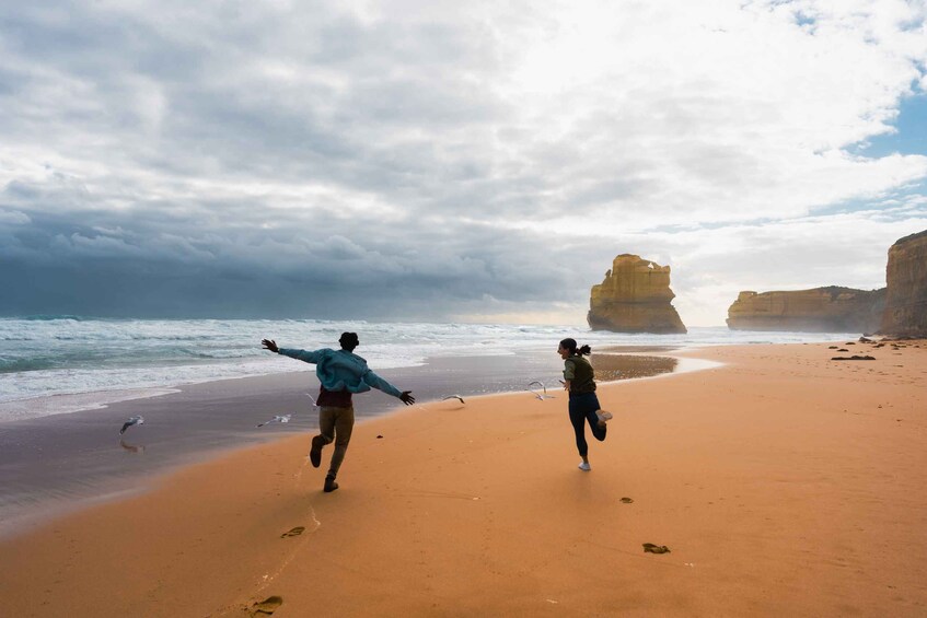 Picture 4 for Activity Melbourne: Great Ocean Road Sightseeing Day Tour