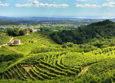 Valdobbiadene - Prosecco Hills Cycling with Sommelier