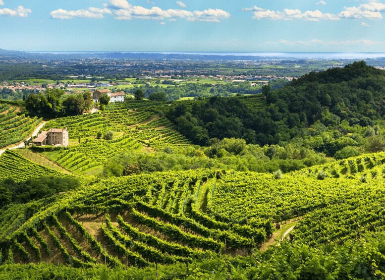 Valdobbiadene - Prosecco Hills Cycling with Sommelier