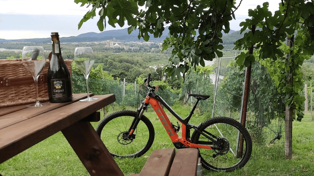 Picture 1 for Activity Valdobbiadene - Prosecco Hills Cycling with Sommelier