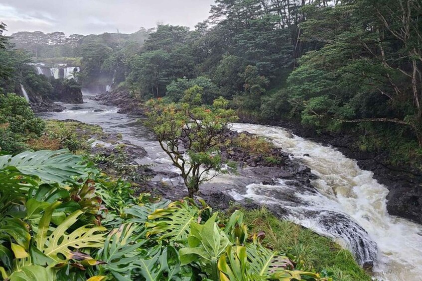 Picture 1 for Activity Hilo: Volcanoes National Park and Hilo Private Tour