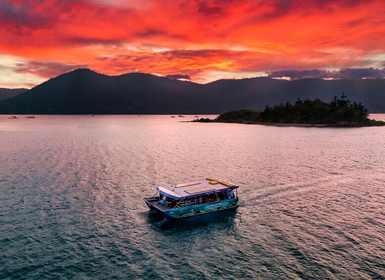 Picture 4 for Activity Airlie Beach: Bottoms Up Sunset Cruise with Drink