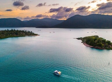 Airlie Beach: crucero de abajo hacia arriba al atardecer con bebida