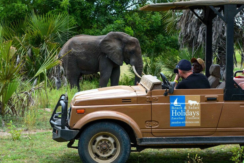 Picture 3 for Activity Dar Es Salaam: Overnight safari at Nyerere National Park