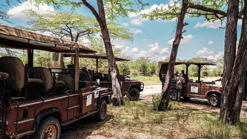 Picture 16 for Activity From Dar Es Salaam:Overnight Safari at Nyerere National Park