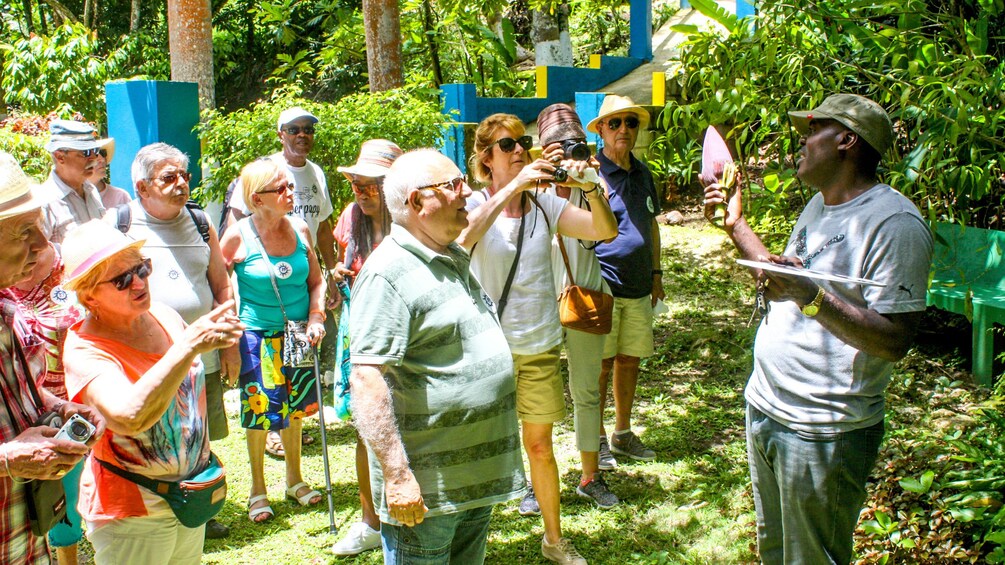 Tour guide holds court in John's Hall Jamaica