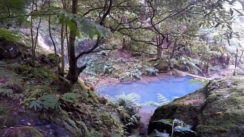 Lagoa do Fogo : Visite guidée du volcan excursion avec baignade dans les so...