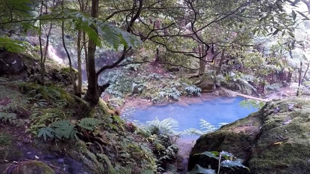 Lagoa do Fogo: Guided Volcano Geo Tour w/ Hotsprings Bathing