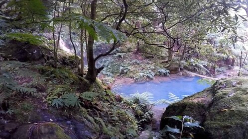 Lagoa do Fogo : Visite guidée du volcan géo avec Hotsprings Bathing