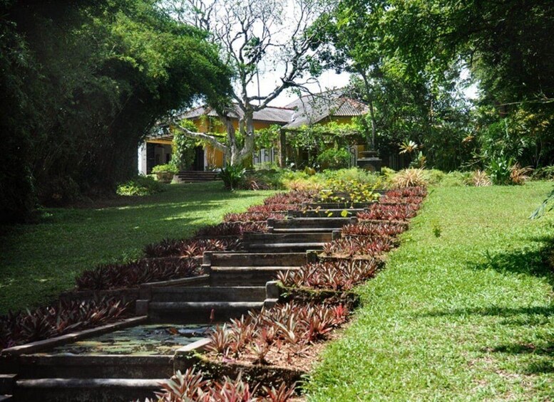 Picture 1 for Activity From Bentota/Beruwala: Lunuganga & Brief Garden Marvels Tour