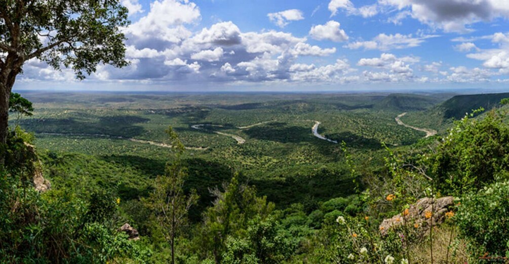 Picture 5 for Activity 1 day Shimba Hills Tour