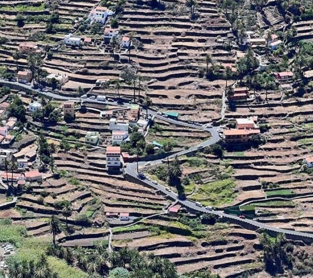 Picture 3 for Activity La Gomera: Garajonay National Park Entry Ticket and Tour