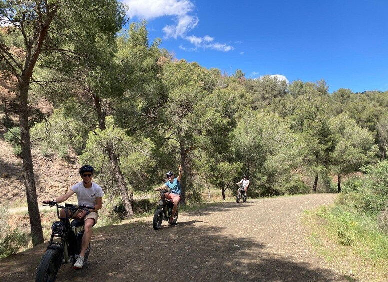 Picture 4 for Activity Electric FAT Biking in Montes de Malaga & Countryside