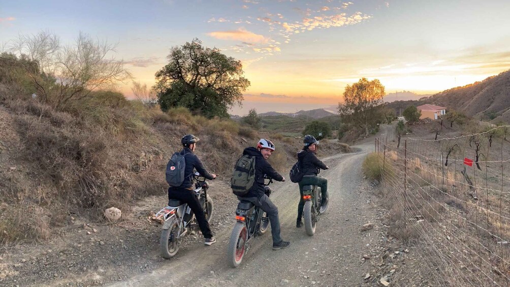 Picture 1 for Activity Electric FAT Biking in Montes de Malaga & Countryside