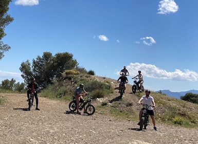 Electric FAT Biking in Montes de Malaga & Countryside