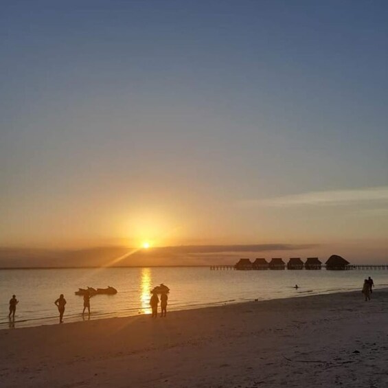 Picture 9 for Activity Sunset Dow Cruise at Kendwa Beach