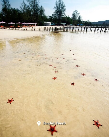 Picture 2 for Activity Phu Quoc: Instagram Tour with Photoshoot and edited Photos