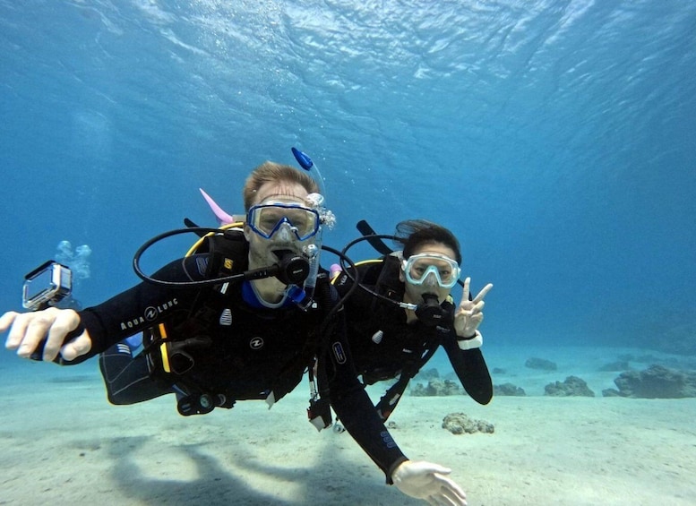 Picture 5 for Activity From Naha Scuba Diving Trip in Kerama(for certified divers)