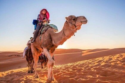 From Agadir : 4-Day Private Desert Tour To Zagora & Merzouga