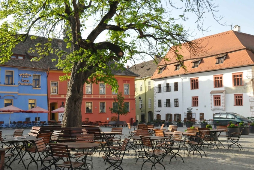 BV04 - Private Day Tour to Sighisoara from Brasov