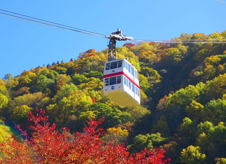 Picture 1 for Activity From Takayama: Shinhotaka Ropeway and Kamikochi tour