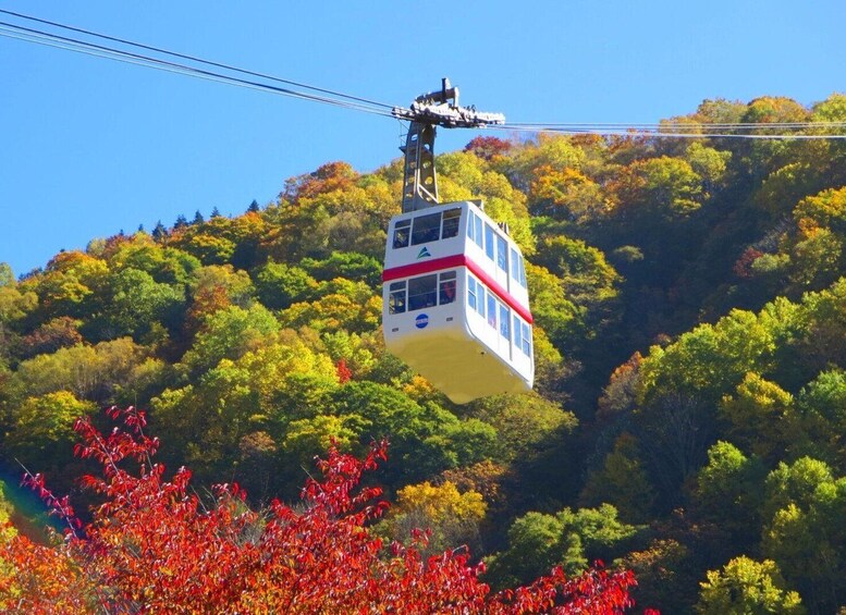 Picture 1 for Activity From Takayama: Shinhotaka Ropeway and Kamikochi tour