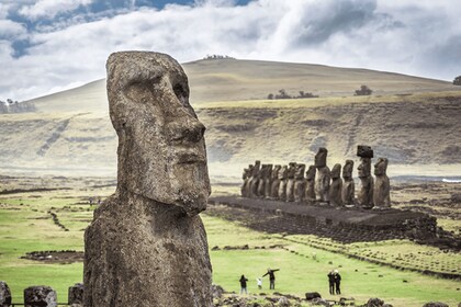 2 Halve Dagen & 2 Hele Dagen Privé Tours | OPTIE A