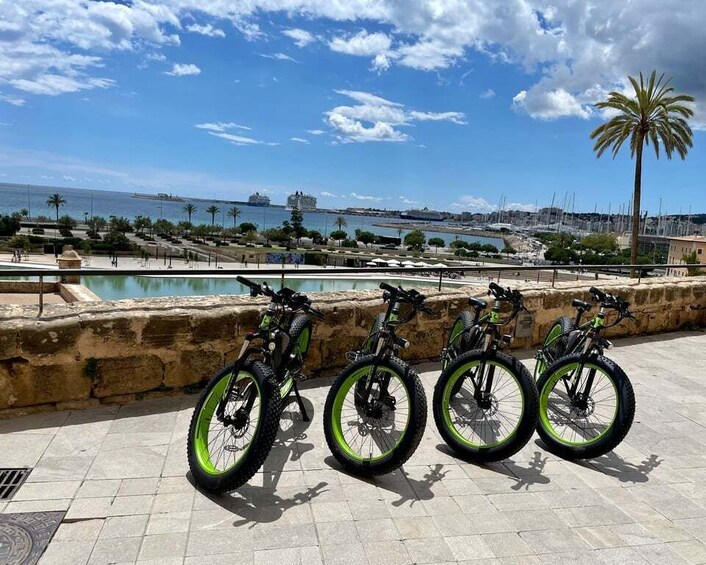 Picture 3 for Activity Palma: Guided City Tour with a Fat Tire E-Bike