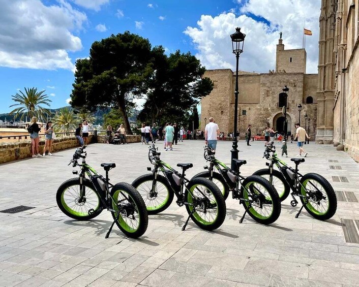 Picture 4 for Activity Palma: Guided City Tour with a Fat Tire E-Bike