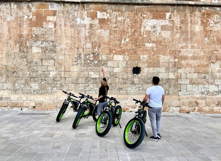 Picture 2 for Activity Palma: Guided City Tour with a Fat Tire E-Bike