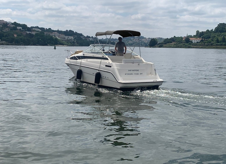 Picture 3 for Activity Private Cruise in Rio Douro - 2 hours - Up to 8 Passengers