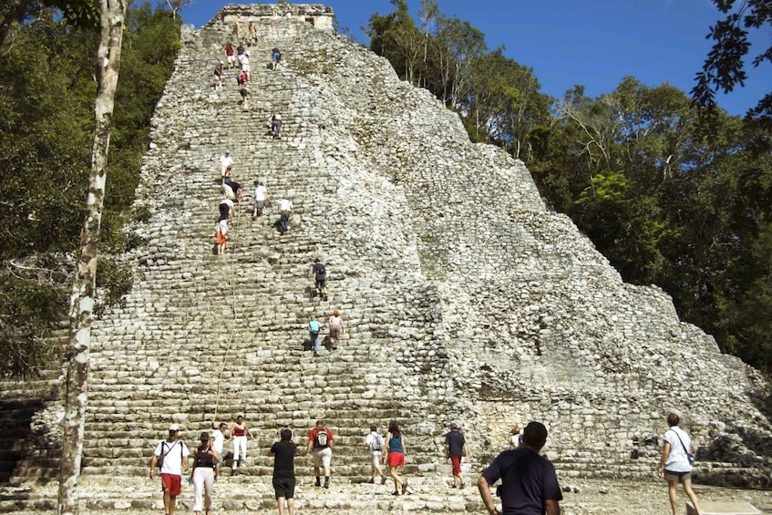 Picture 2 for Activity Coba Archeological Site Guided Walking Tour