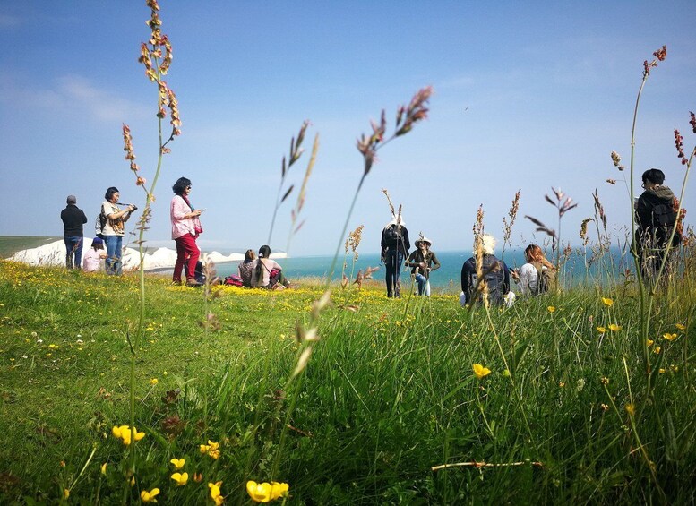 Picture 1 for Activity From London: Sussex Villages and White Cliff Guided Tour