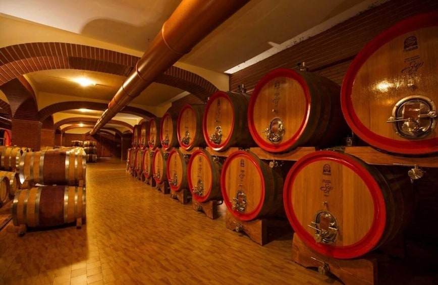 Picture 2 for Activity Baku: Private Vineyard and Wine Tasting Tour