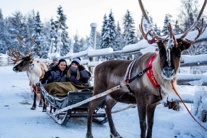 Picture 1 for Activity Rovaniemi: Santa Claus Village, Husky & Reindeer Sled Ride