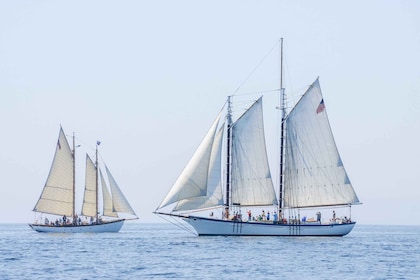 Portland: crucero en goleta en velero por Casco Bay