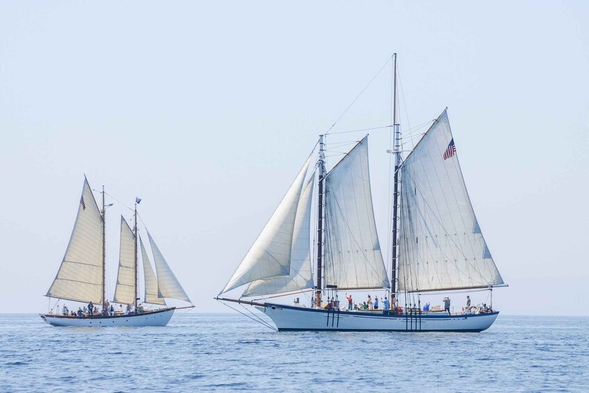 Portland: Schooner Tall Ship Cruise on Casco Bay